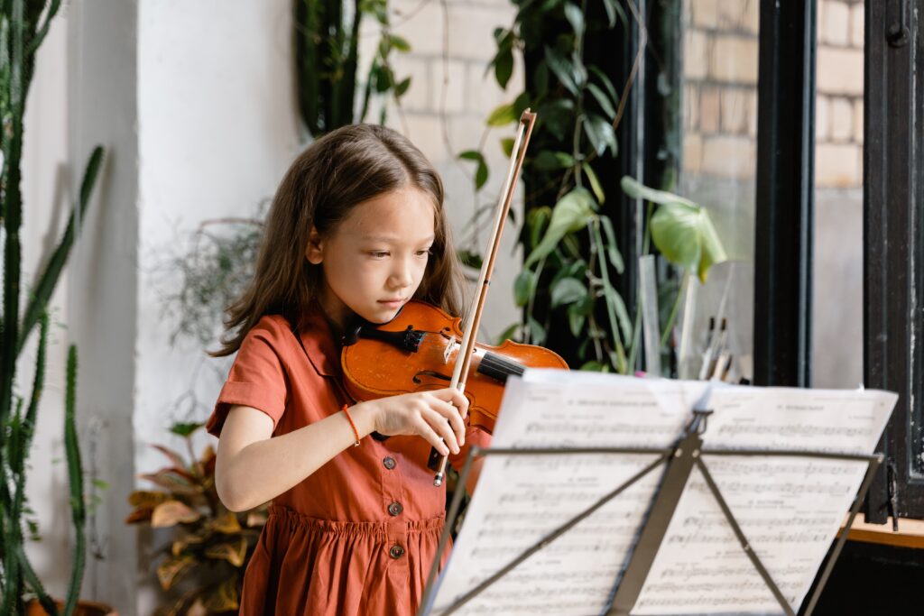 How To Choose The Best Violin Shop Singapore For Your Musical Journey?