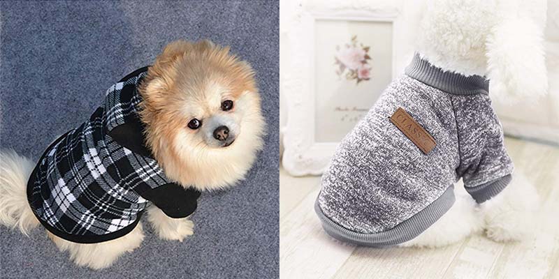Why does Chinese Wholesale Pet Apparel in Bulk Purchase give Huge Profits?