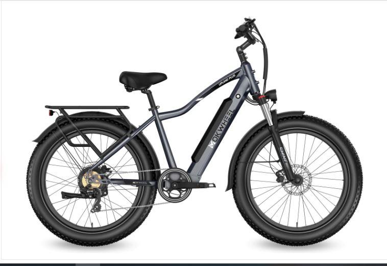  6 Common Electric Bicycle Issues and Solutions
