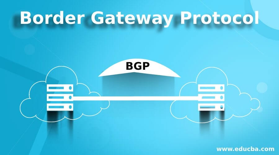 The Features of Border Gateway Protocol