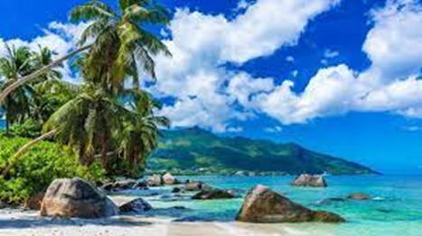 What is a Seychelles IBC and How Can It Benefit Your Business?