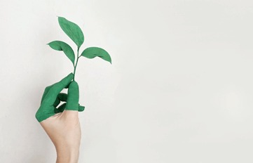 What is an eco-responsible website?
