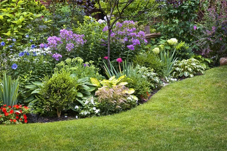 ￼How to Choose the Right Plants for Your Landscape Design