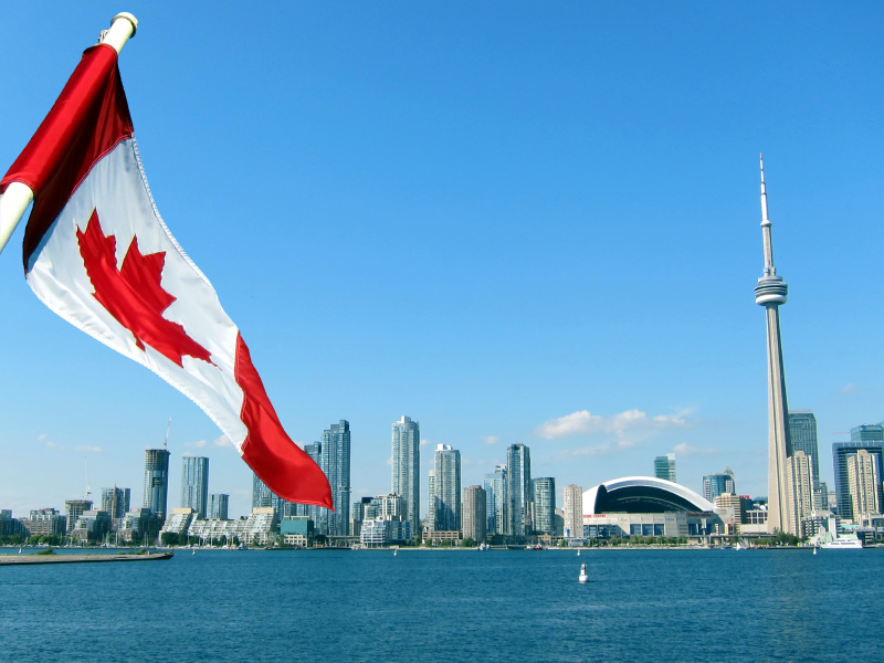 How an Immigration Lawyer in Mississauga Can Help Overcome Common Challenges