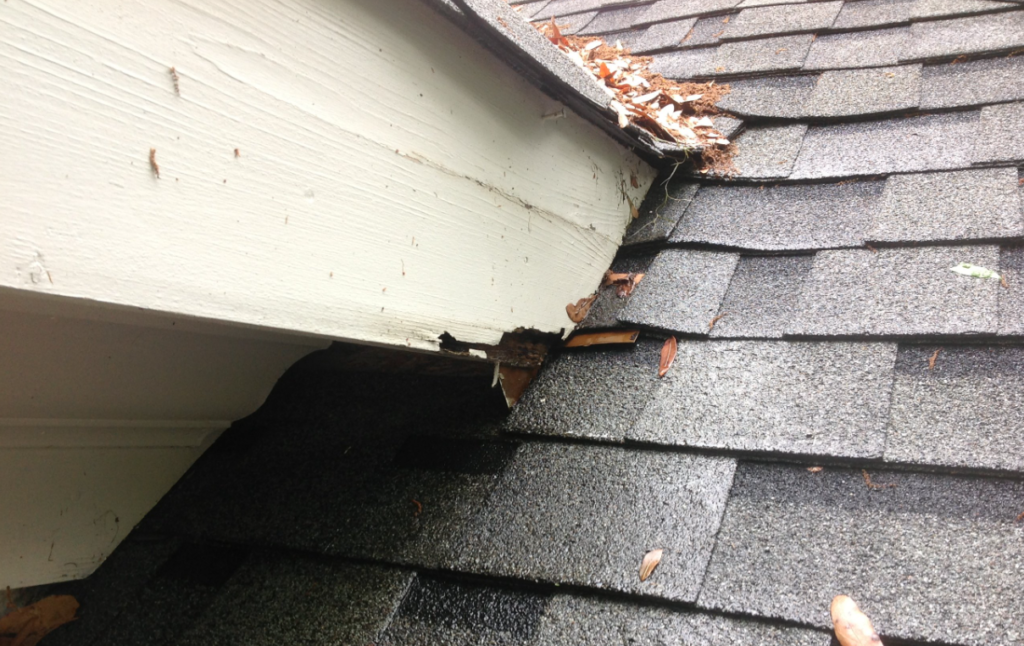 Calgary Roof Replacement: Elevating Your Home’s Protection