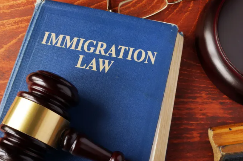 The Crucial Role of Immigration Lawyers