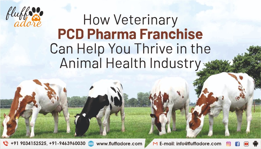How Veterinary PCD Pharma Franchise Can Help You Thrive in the Animal Health Industry
